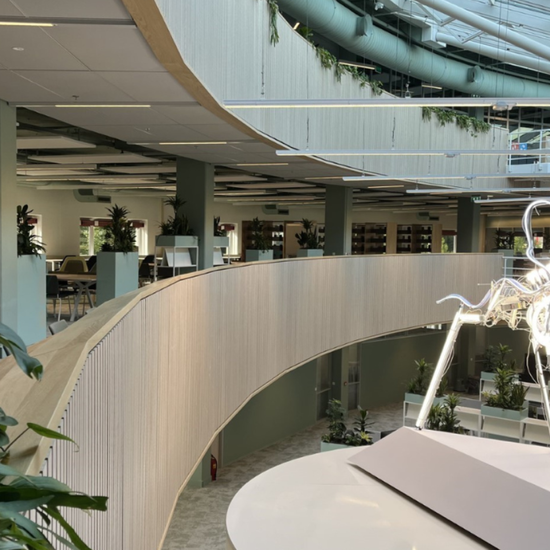 overview photo of library and art work