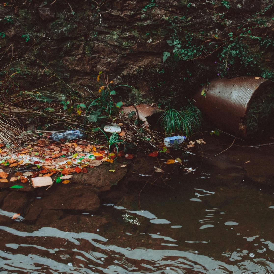 Trash floating on body of water. Photo by Lisa Fotios