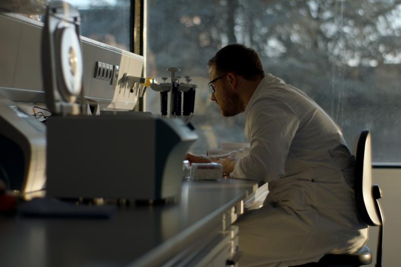 Master's programme Systems Biology