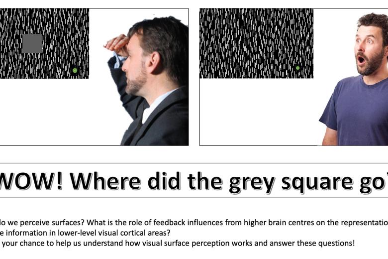 fpn study grey square